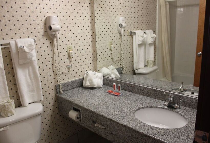 غرفه قياسيه سريرين مزدوجين, Econo Lodge Andrews Afb