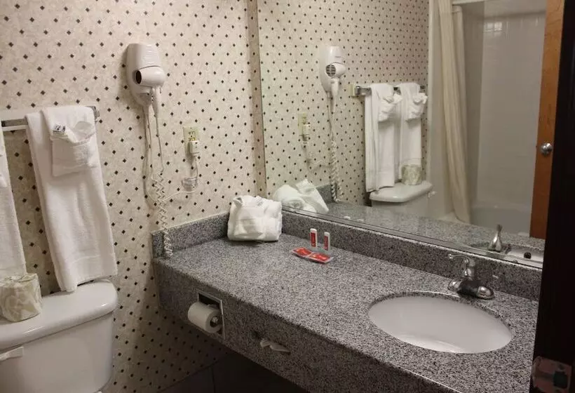 ２ダブルベッドのスタンダードルーム, Econo Lodge Andrews Afb