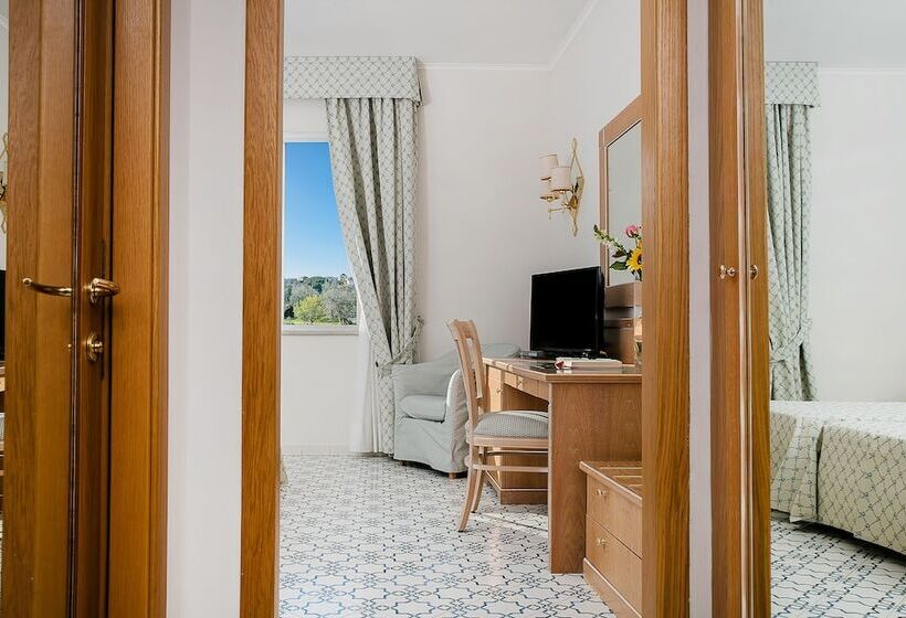 Номер Basic, Grand Hotel Vesuvio