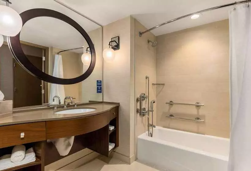 اتاق استاندارد با تخت بزرگ برای معلولان, Hilton La Jolla Torrey Pines