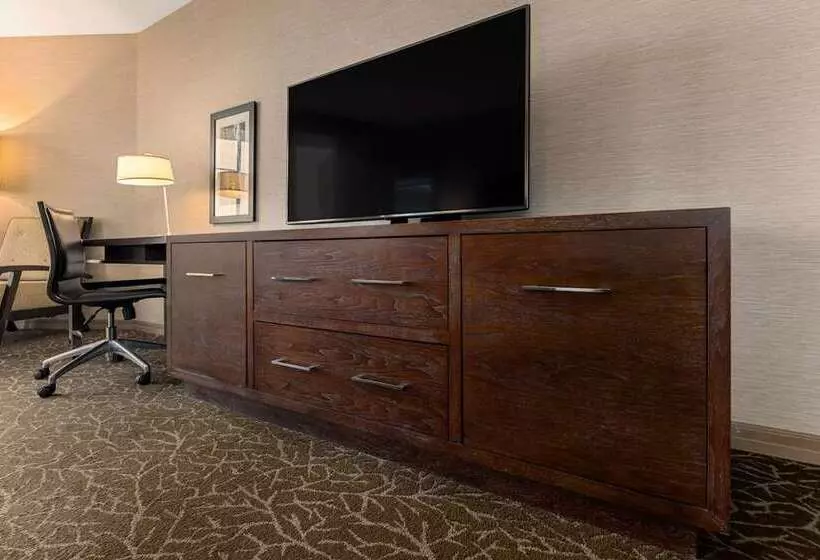 اتاق استاندارد با تخت بزرگ برای معلولان, Hilton La Jolla Torrey Pines