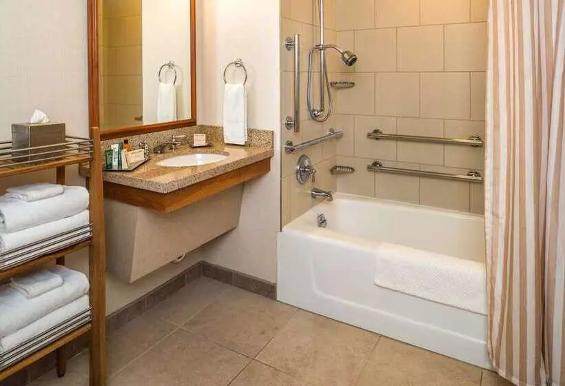اتاق استاندارد با تخت بزرگ برای معلولان, Hilton La Jolla Torrey Pines