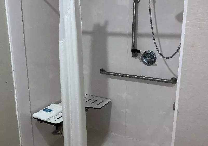 Standard-invahuone King-vuode, Holiday Inn Express Hotel & Suites Gainesville By Ihg