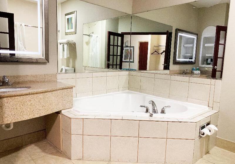 מיטת קינג בסוויטה, Holiday Inn Express Hotel & Suites Gainesville By Ihg