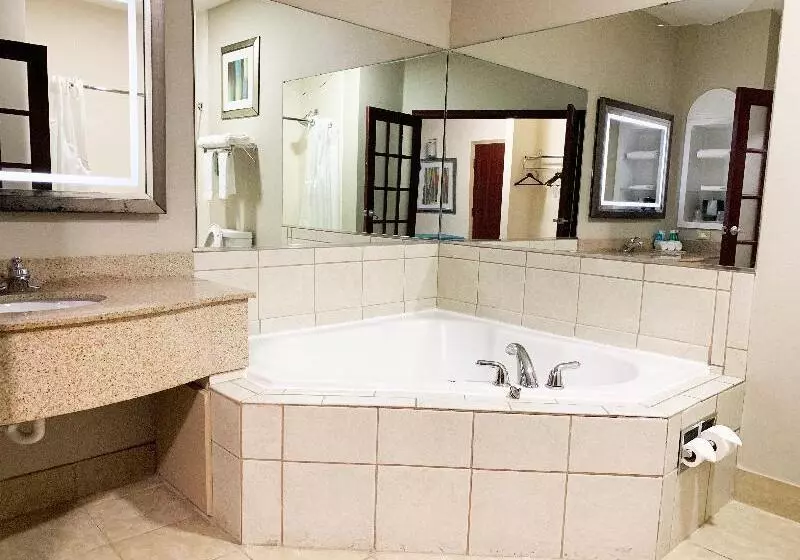 Sviitti King-vuode, Holiday Inn Express Hotel & Suites Gainesville By Ihg