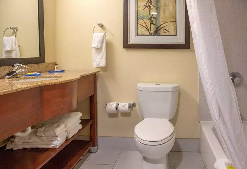 スイート, Holiday Inn Express Harrisburg Sw   Mechanicsburg, An Ihg