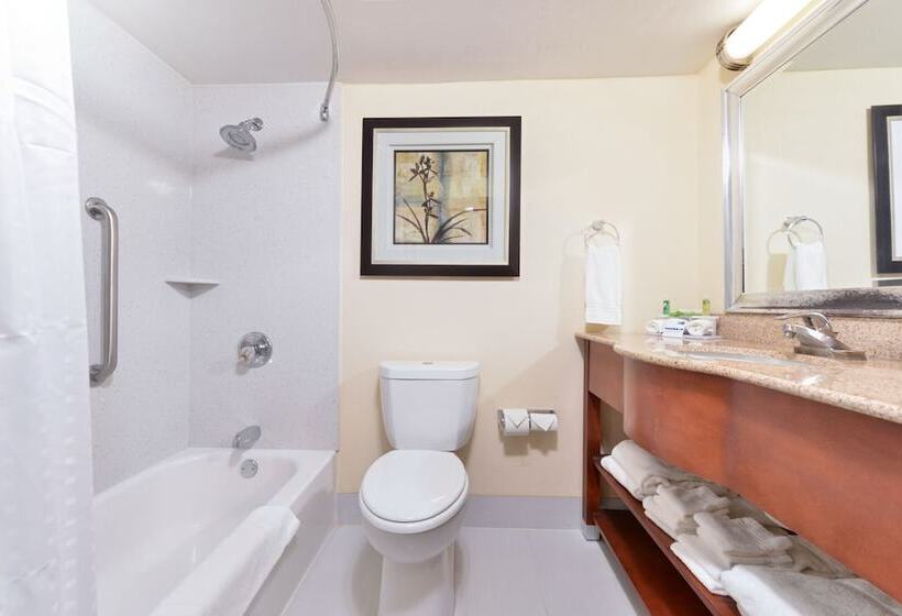 スイート, Holiday Inn Express Harrisburg Sw   Mechanicsburg, An Ihg