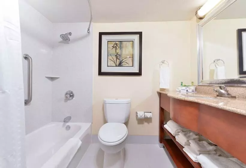 スイート, Holiday Inn Express Harrisburg Sw   Mechanicsburg, An Ihg