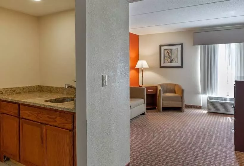 スイート, Holiday Inn Express Harrisburg Sw   Mechanicsburg, An Ihg
