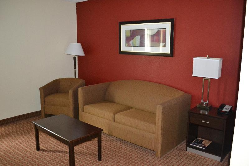 キングサイズベッドのスイートルーム, Holiday Inn Express Harrisburg Sw   Mechanicsburg, An Ihg