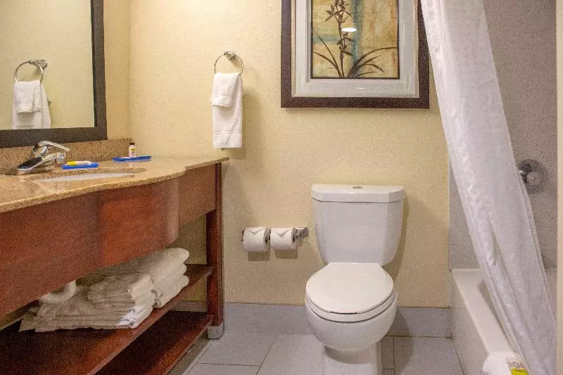 キングサイズベッドのスイートルーム, Holiday Inn Express Harrisburg Sw   Mechanicsburg, An Ihg