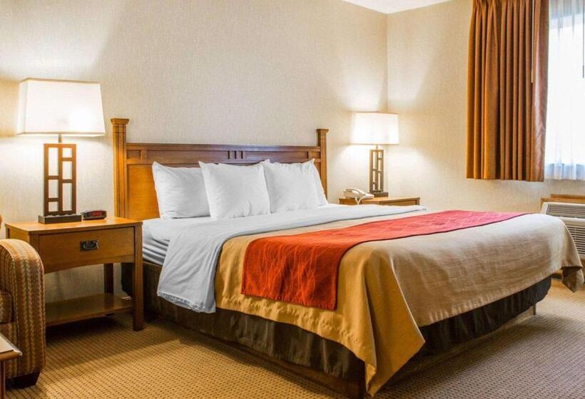 스탠다드 룸 킹사이즈 침대, Quality Inn Ironwood