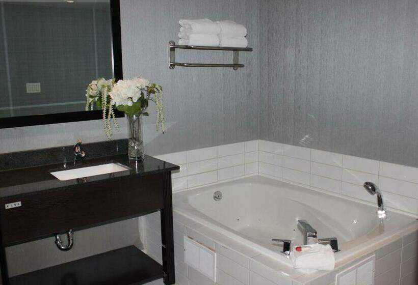 סוויטה נשיאותית, Ramada Plaza By Wyndham Niagara Falls