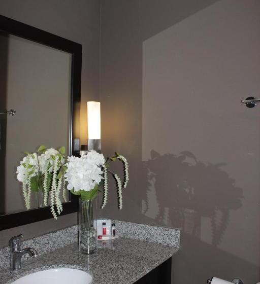 חדר סטנדרט עם מיטת קינג, Ramada Plaza By Wyndham Niagara Falls