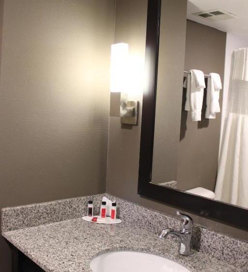 キングサイズベッドのスタンダードルーム, Ramada Plaza By Wyndham Niagara Falls