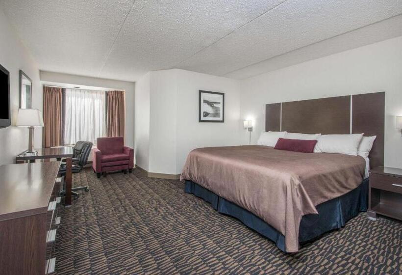 חדר סטנדרט, Ramada Plaza By Wyndham Niagara Falls