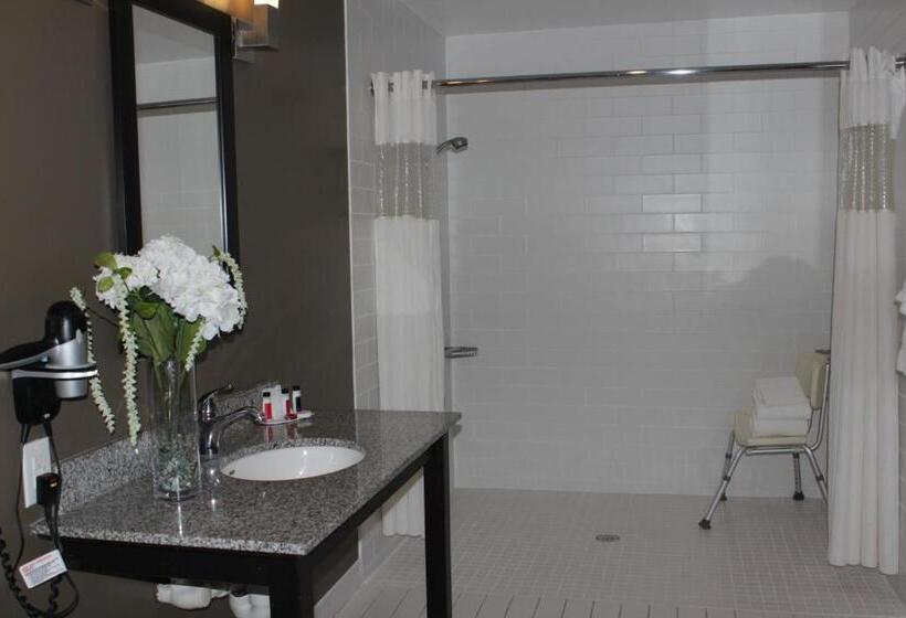 חדר סטנדרט עם מיטת קינג, Ramada Plaza By Wyndham Niagara Falls