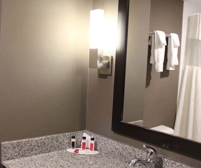スイート, Ramada Plaza By Wyndham Niagara Falls