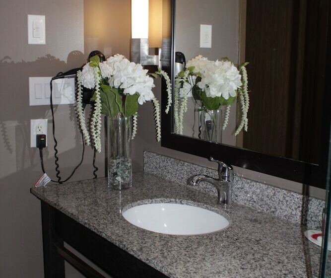 סוויטה, Ramada Plaza By Wyndham Niagara Falls