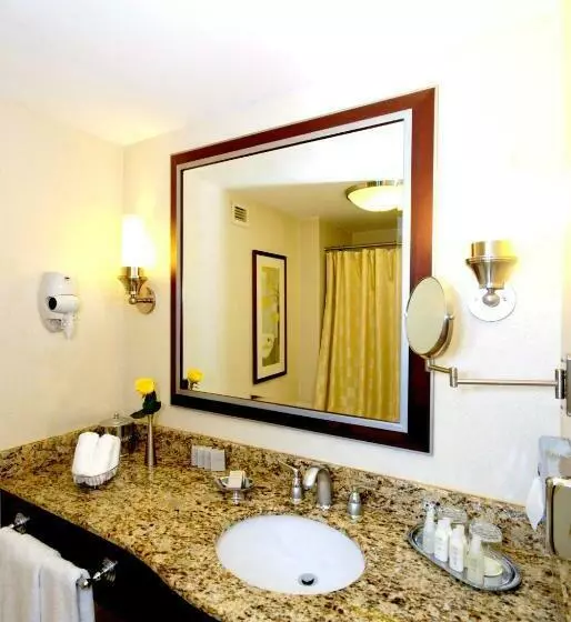 اتاق لوکس با تخت بزرگ, San Carlos Hotel New York