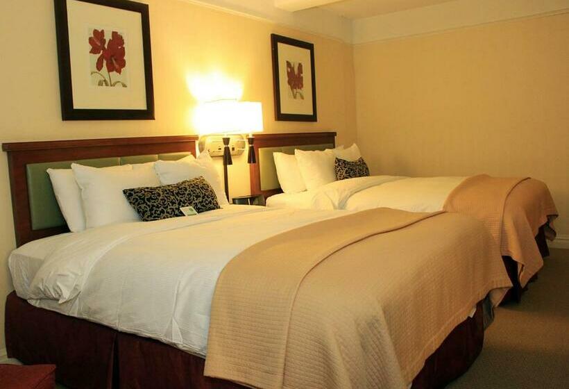 디럭스 룸, San Carlos Hotel New York