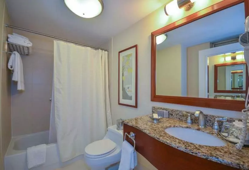 اتاق لوکس با تخت بزرگ, San Carlos Hotel New York