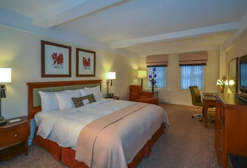 اتاق لوکس با تخت بزرگ, San Carlos Hotel New York