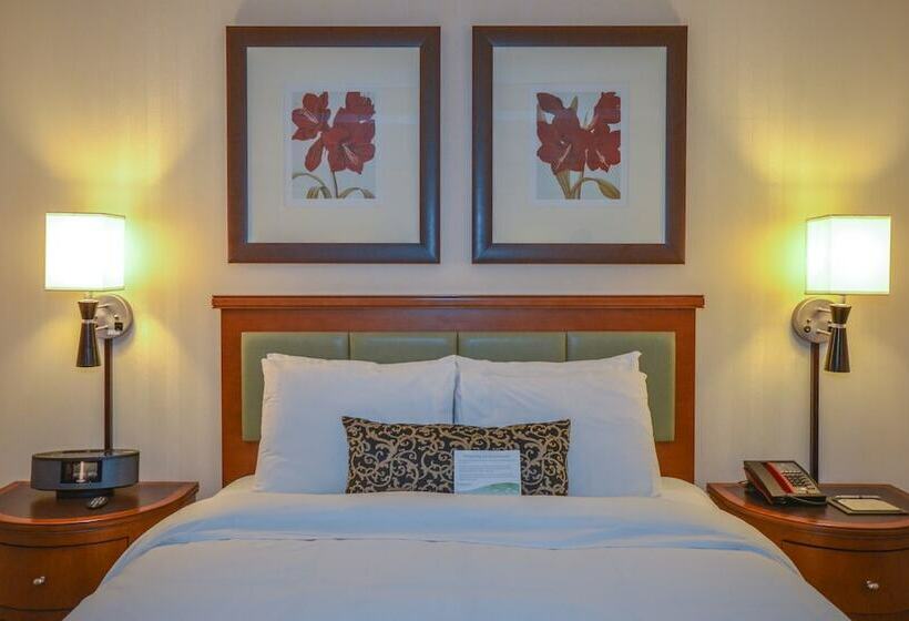 스탠다드 룸 킹사이즈 침대, San Carlos Hotel New York