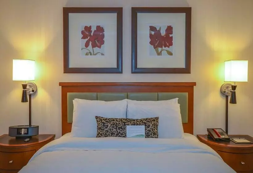 اتاق لوکس با تخت بزرگ, San Carlos Hotel New York