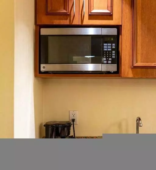 سوئیت با تخت بزرگ, San Carlos Hotel New York