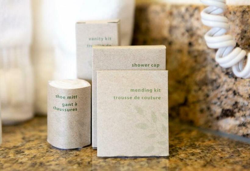 4인용 스탠다드 룸, San Carlos Hotel New York