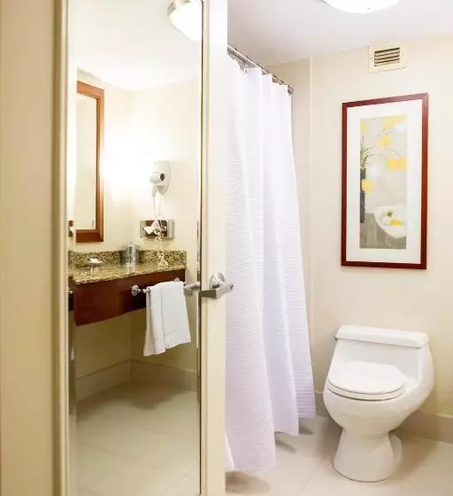 سوییت جونیور اجرایی, San Carlos Hotel New York