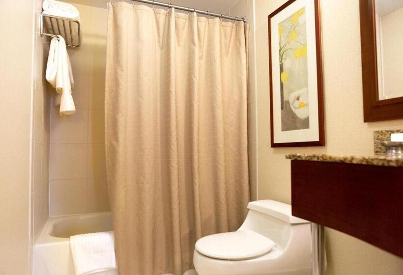 스위트 킹사이즈 침대, San Carlos Hotel New York