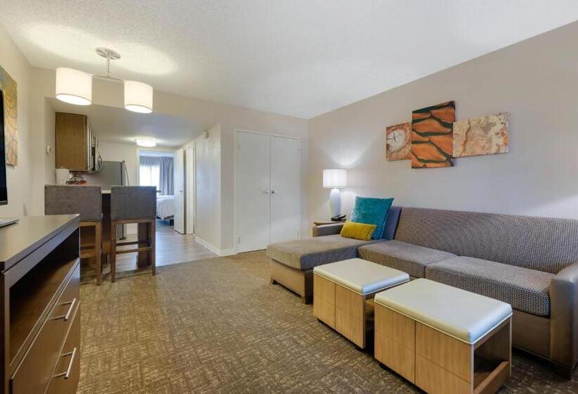 带大床的套房, Staybridge Suites Orlando Royale Parc Suites, An Ihg