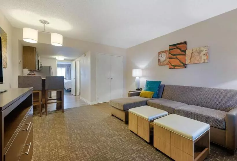 スタンダードスタジオ, Staybridge Suites Orlando Royale Parc Suites, An Ihg