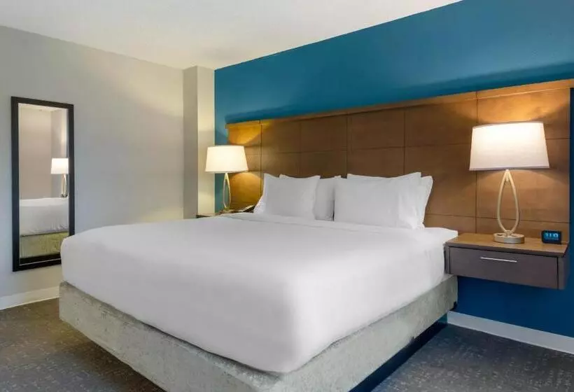 スタンダードスタジオ, Staybridge Suites Orlando Royale Parc Suites, An Ihg