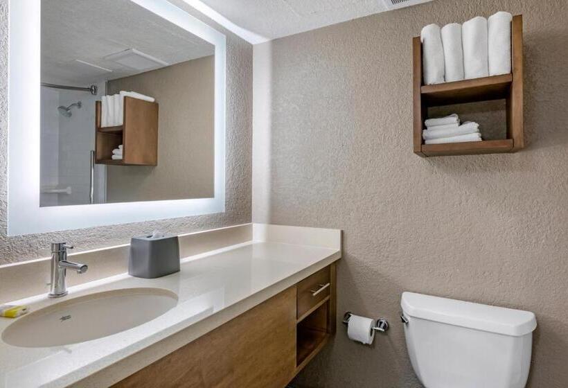 Люкс Адаптированный для Инвалидов, Staybridge Suites Orlando Royale Parc Suites, An Ihg