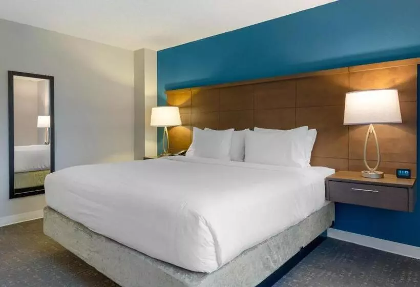 身障者適用キングサイズベッドルーム, Staybridge Suites Orlando Royale Parc Suites, An Ihg