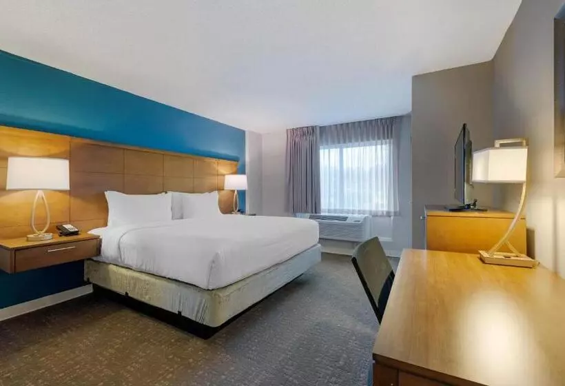 身障者適用キングサイズベッドルーム, Staybridge Suites Orlando Royale Parc Suites, An Ihg