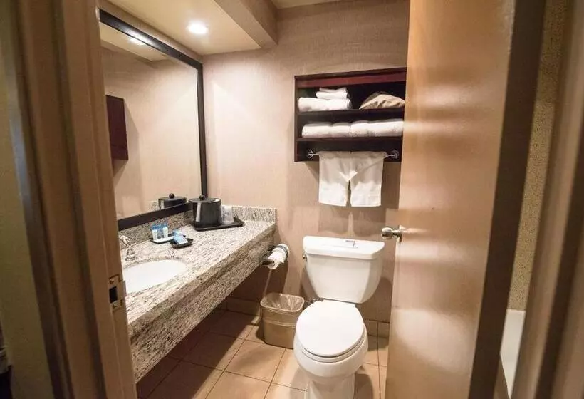 اتاق لوکس با تخت بزرگ, Best Western Plus Redondo Beach Inn