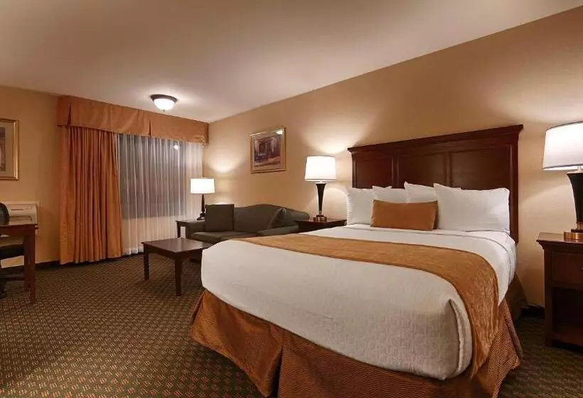 اتاق لوکس با تخت بزرگ, Best Western Plus Redondo Beach Inn