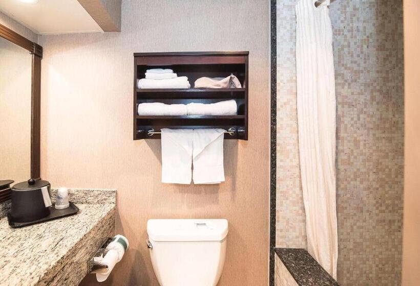 غرفة ديلوكس سرير كينج, Best Western Plus Redondo Beach Inn