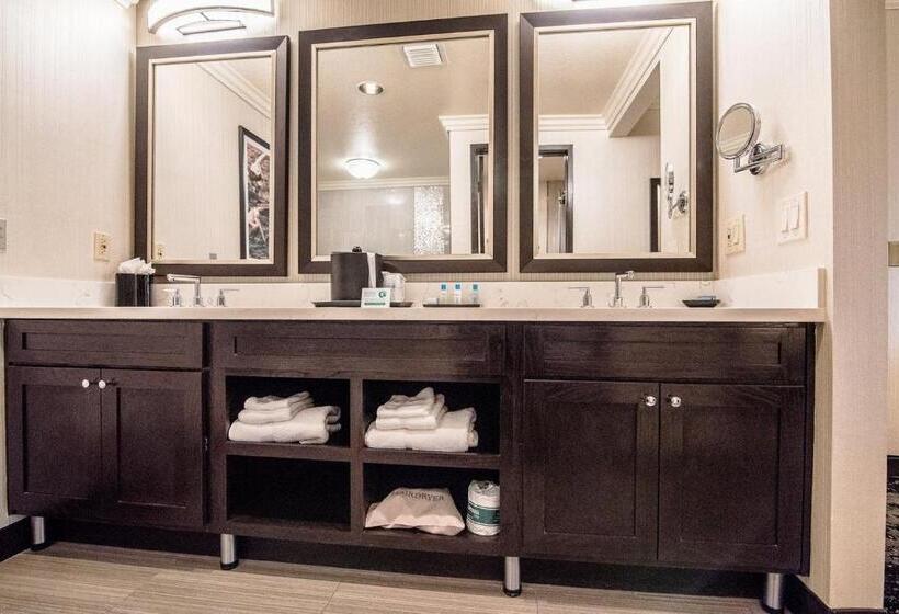 جناح سرير كينج, Best Western Plus Redondo Beach Inn