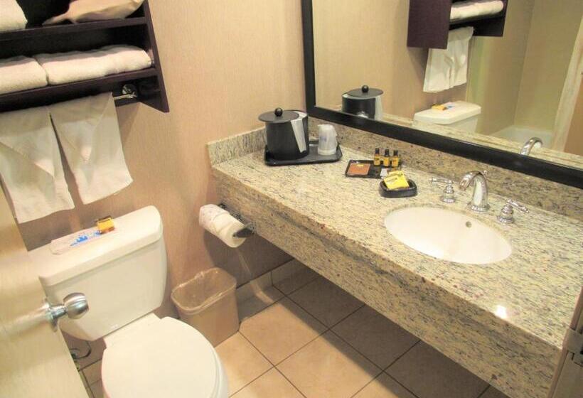 غرفه قياسيه سريرين مزدوجين, Best Western Plus Redondo Beach Inn