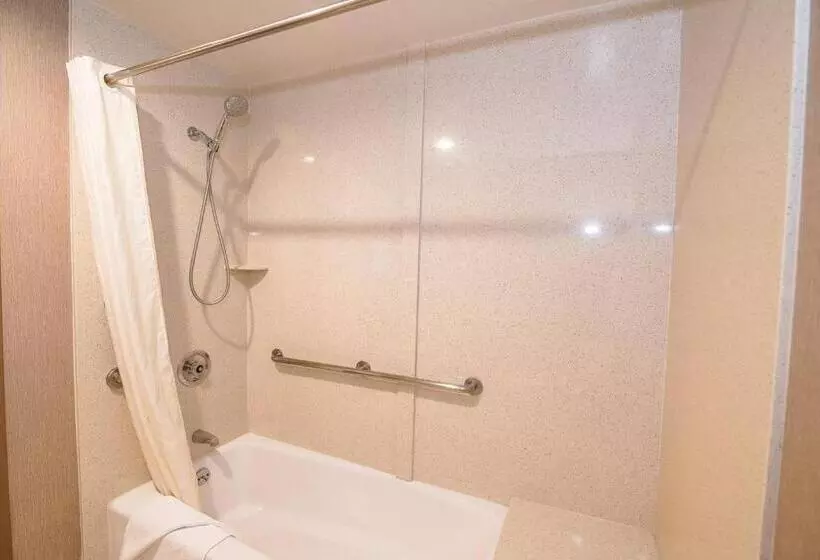 اتاق استاندارد با تخت بزرگ, Best Western Plus Redondo Beach Inn