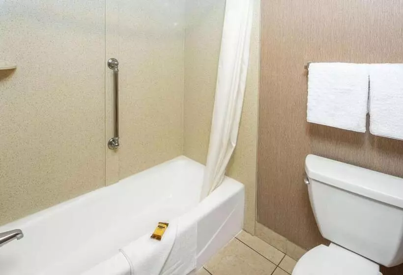 اتاق استاندارد با تخت بزرگ, Best Western Plus Redondo Beach Inn