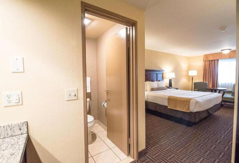 غرفة قياسية سرير كينج, Best Western Plus Redondo Beach Inn