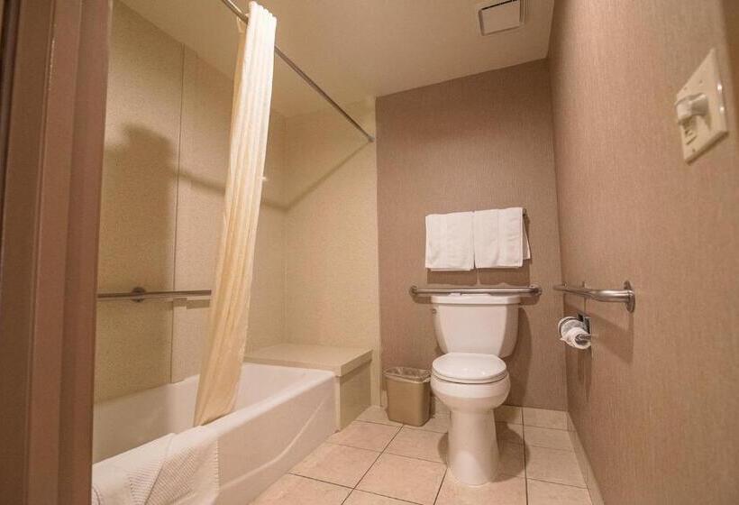 غرفة قياسية سرير كينج لذوى الإحتياجات الخاصة, Best Western Plus Redondo Beach Inn