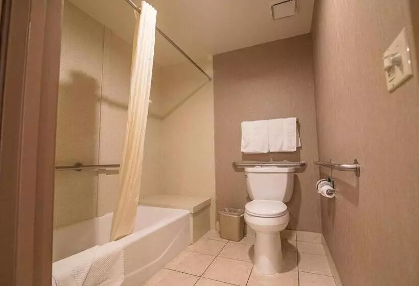 اتاق استاندارد با تخت بزرگ برای معلولان, Best Western Plus Redondo Beach Inn