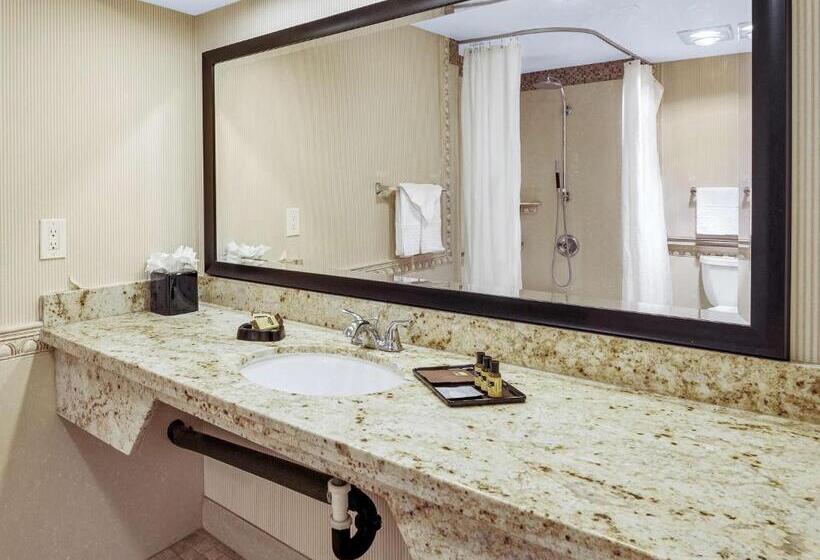 غرفة قياسية سرير كينج لذوى الإحتياجات الخاصة, Best Western Plus Redondo Beach Inn